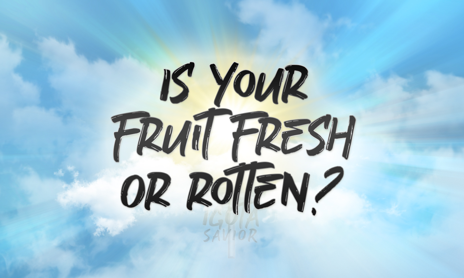 Is Your Fruit Fresh Or Rotten?